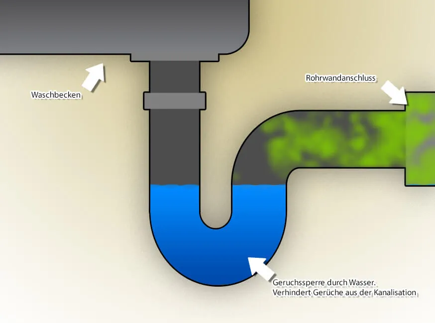 Abfluss stinkt. Infografik welche den Querschnitt eines Abflusses zeigt