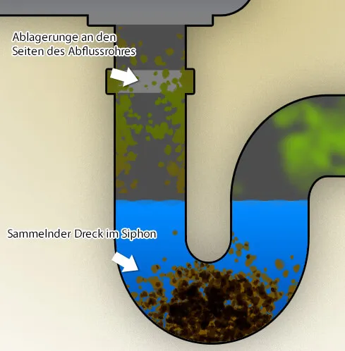Abfluss stinkt - Geruch im Abfluss kommt auch durch Ablagerungen und Schmutz
