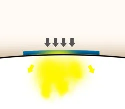 Handtuch wird auf das mit Katzenurin getränkte Polster gedrückt
