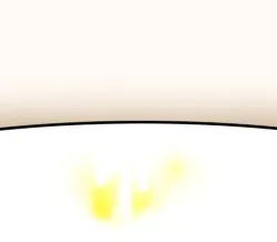 Der Katzenurinfleck wurde gereinigt und das Polster ist getrocknet