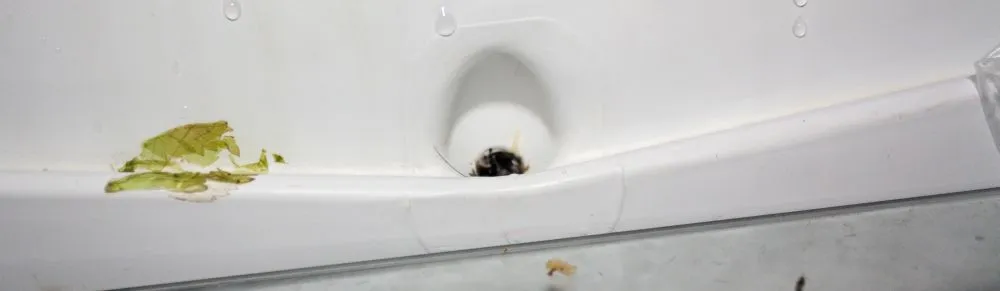 Dreckiges Ablaufloch im Kühlschrank