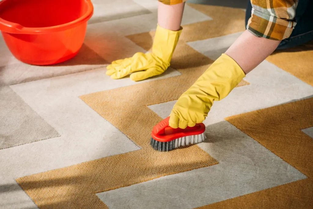 Uringeruch aus Teppich entfernen mit Bürste