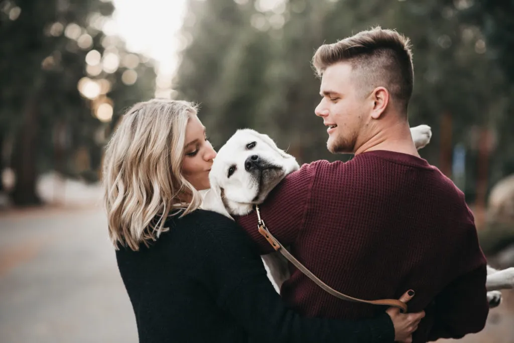 Pärchen spaziert mit Hund auf dem Arm.