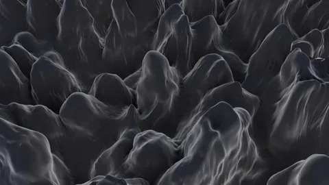 Fenster beschlagen von innen: Häufige Ursachen, gesundheitliche Risiken und einfache Lösungen