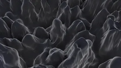 Fenster beschlagen von innen: Häufige Ursachen, gesundheitliche Risiken und einfache Lösungen